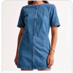 Abercrombie & Fitch Women's Denim Shift Mini Dress